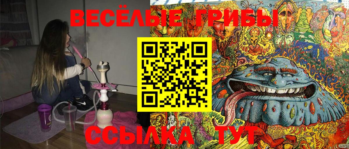 Галлюциногенные грибы мицелий Дзержинский